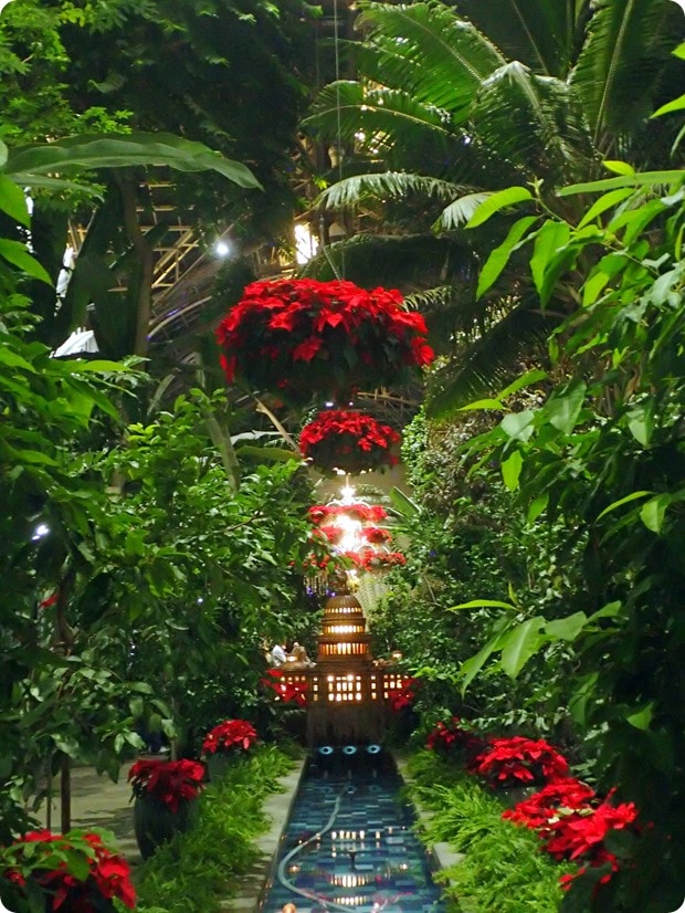 us botanic garden 