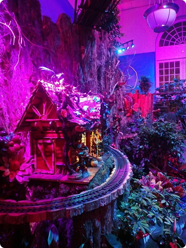 botanic garden dc christmas