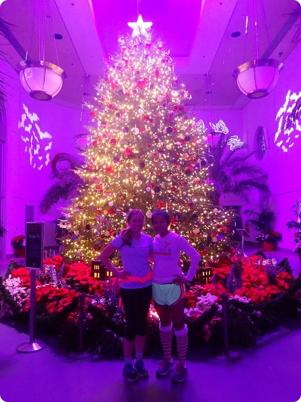 botanic garden christmas tree
