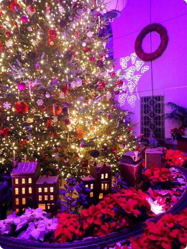 botanic garden dc christmas tree