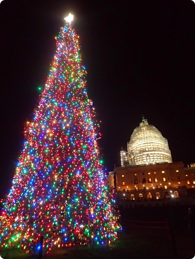 us capitol christmas tree