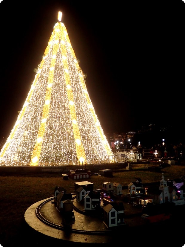 dc national christmas tree