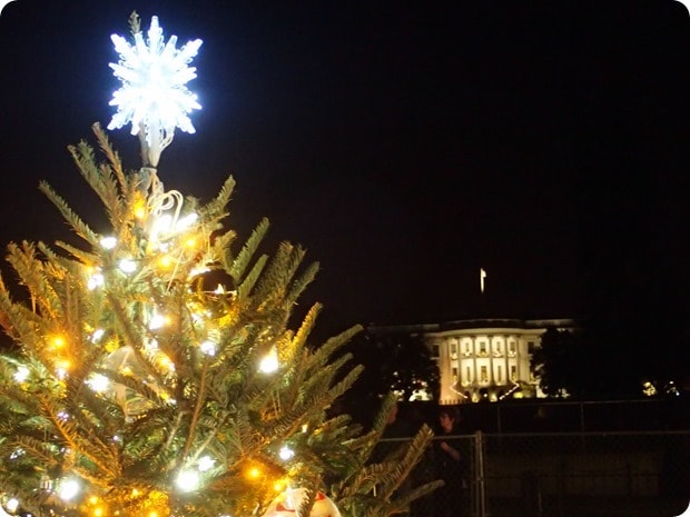 national christmas tree dc