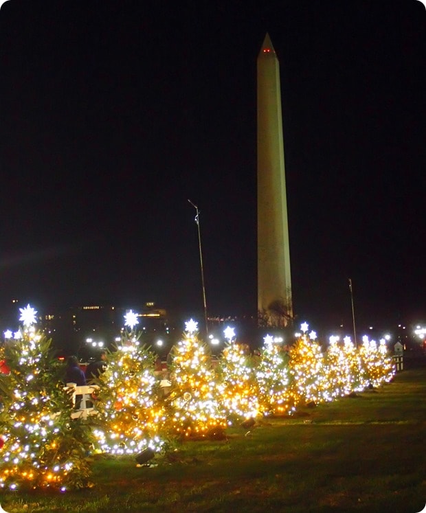 washington dc christmas trees