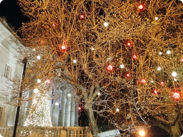 constitution hall christmas decorations