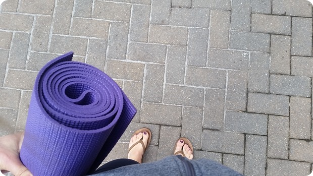 blue nectar yoga falls church