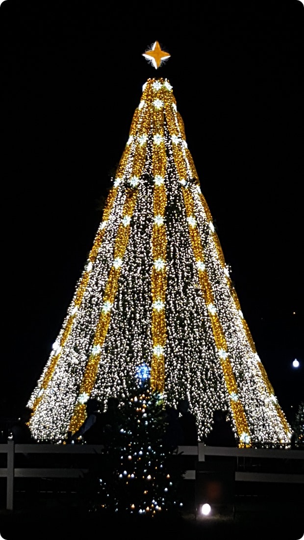 national christmas tree1