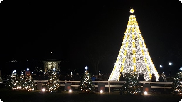 national christmas tree