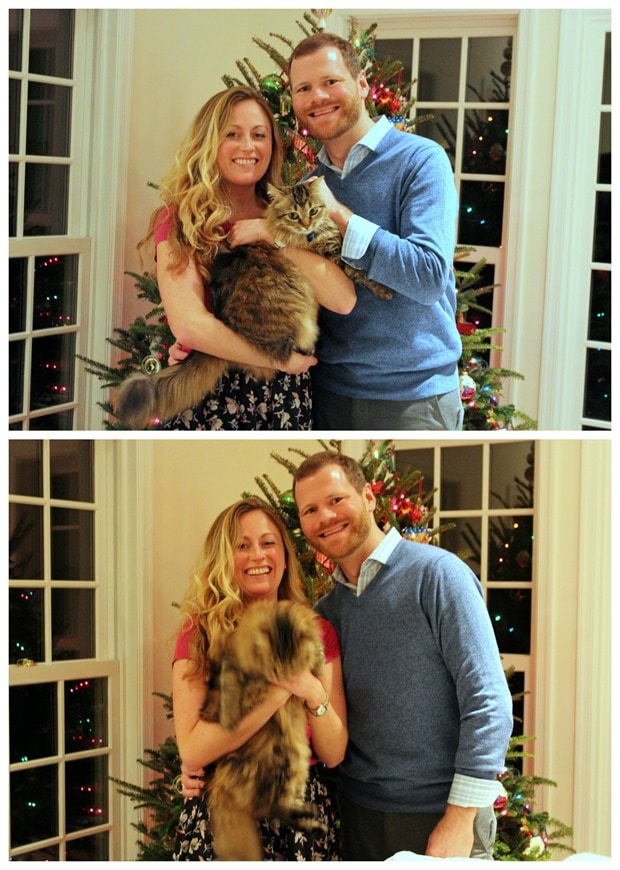 trying to take a picture with a cat