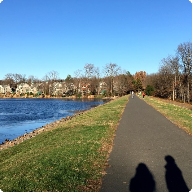 lake anne walking trails