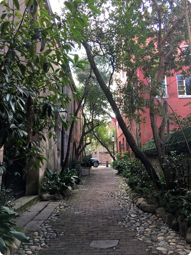 charleston alley walking 