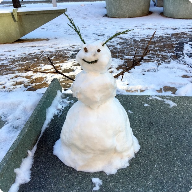 dc snow