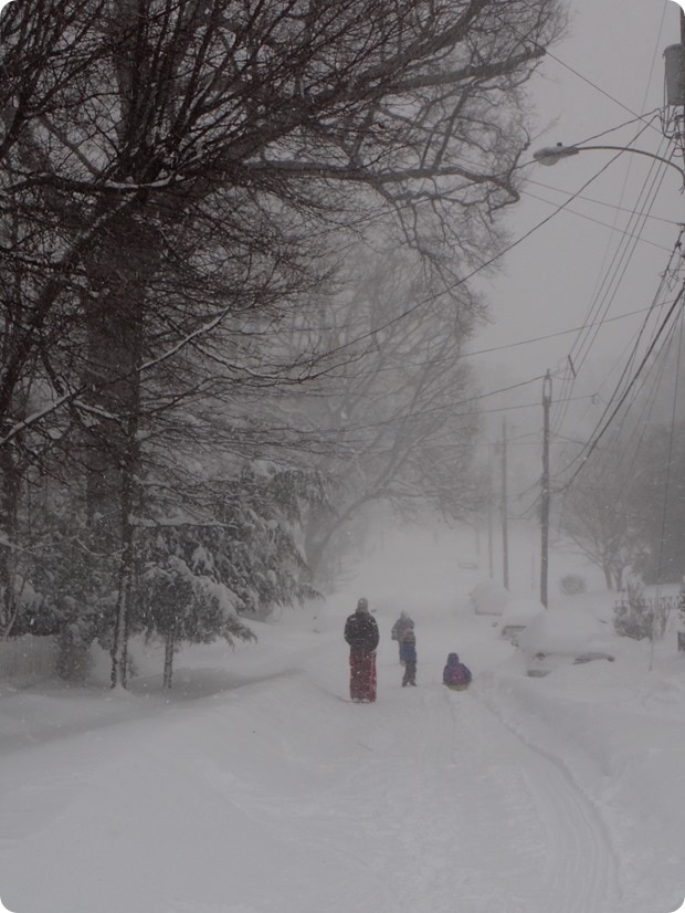 dc snowstorm jonas