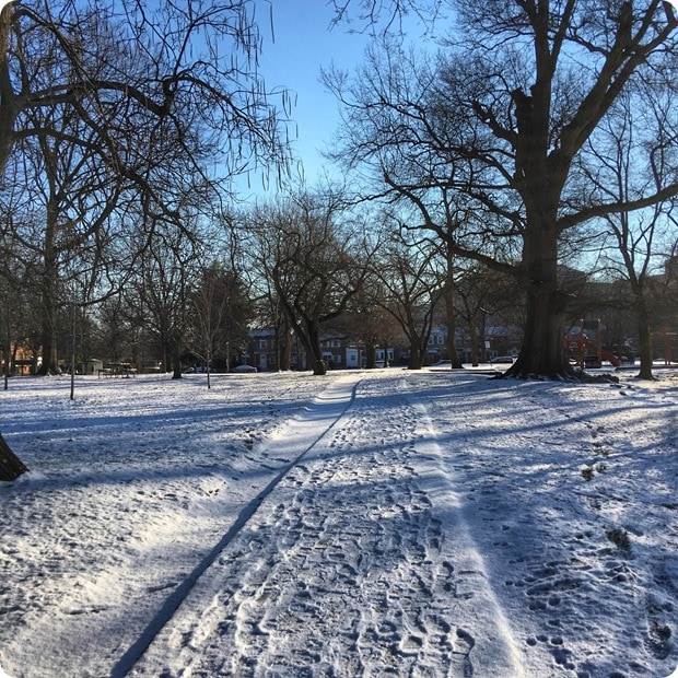 dc snowstorm