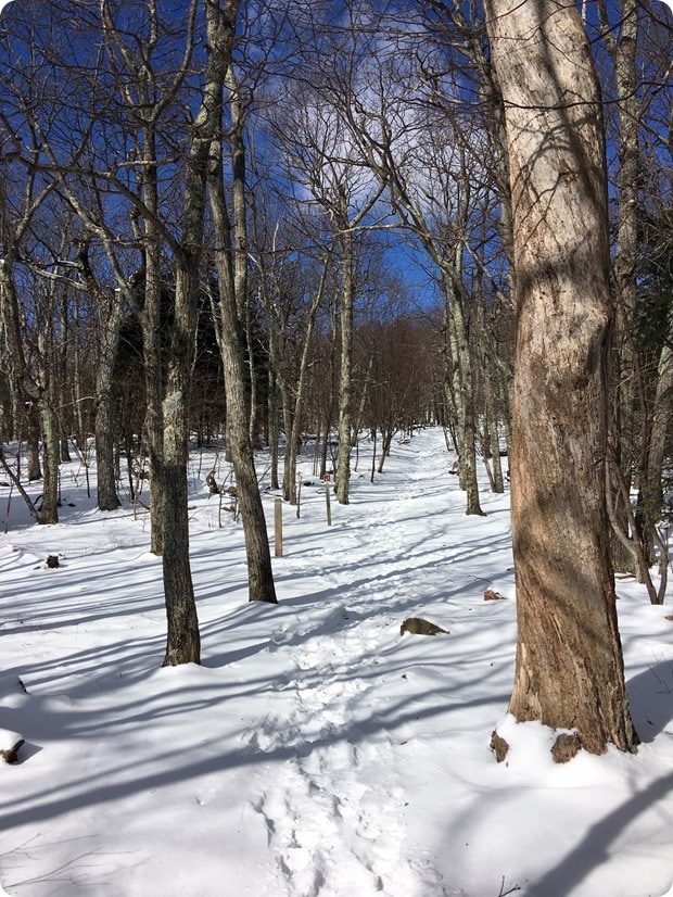 stony man winter hike