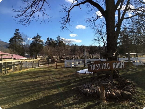 wisteria vineyard