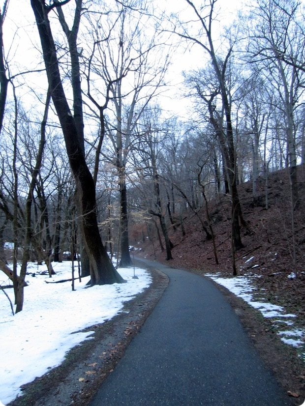 running in rock creek park snow