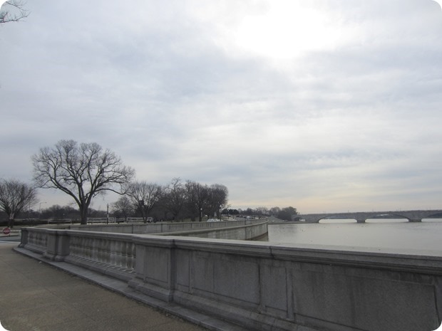 washington dc running