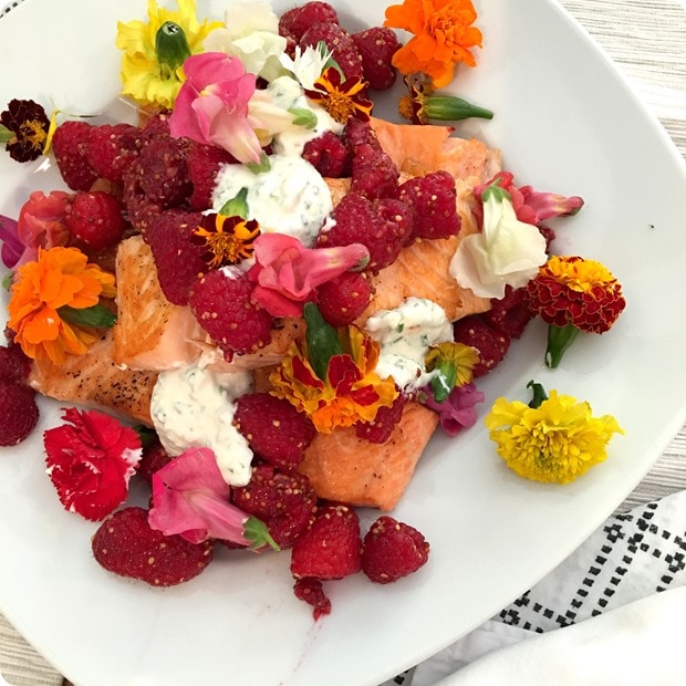 pan seared salmon with lemon yogurt and berries