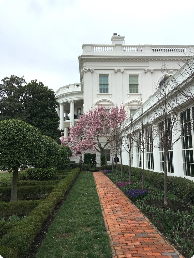 white house tour