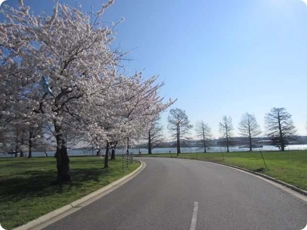 running on hains point