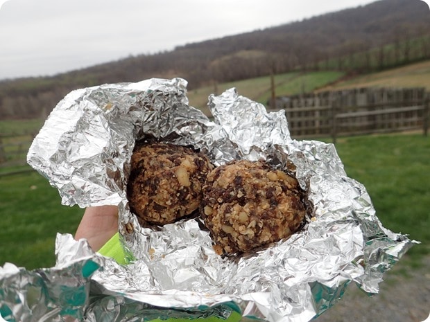 oatmeal raisin snack balls