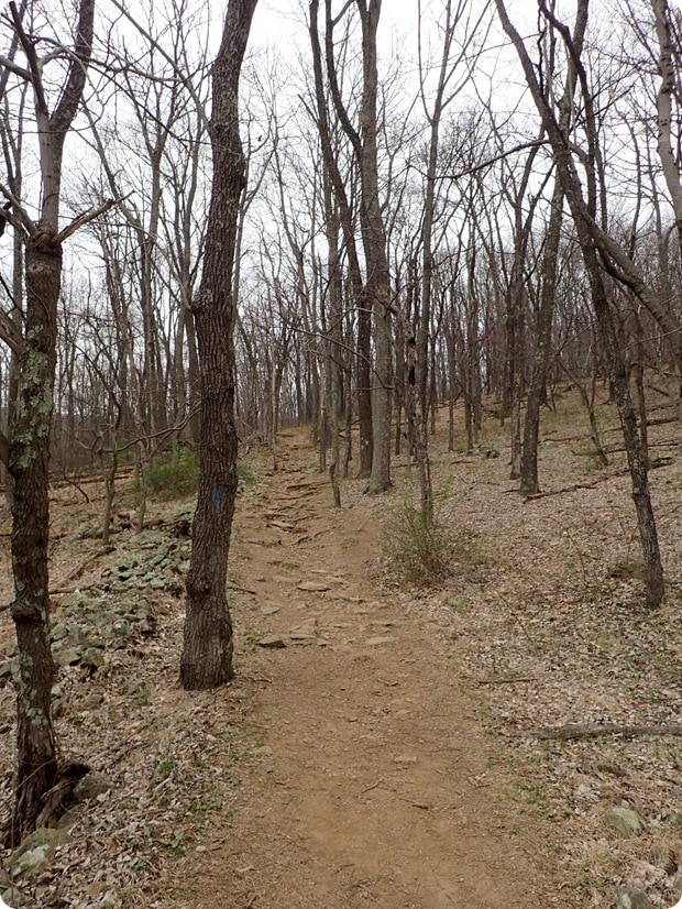 sky meadows state park hike