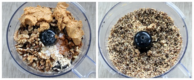 raisin oatmeal balls