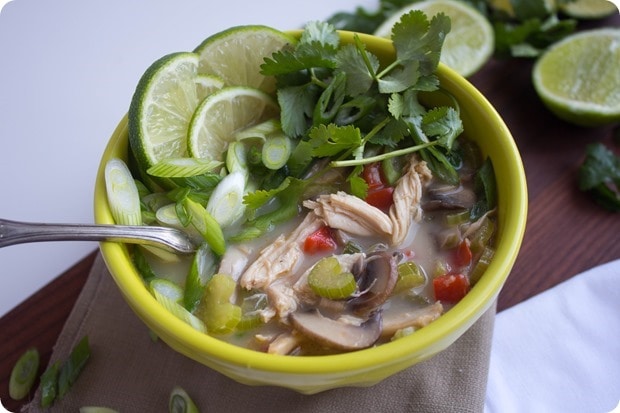 thai coconut chicken soup 2 thai coconut chicken soup in a bowl with garnishes