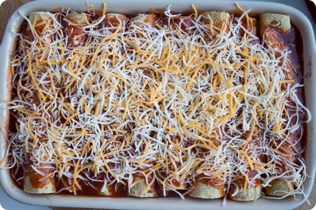 vegetarian walnut mushroom enchiladas with cheese on top