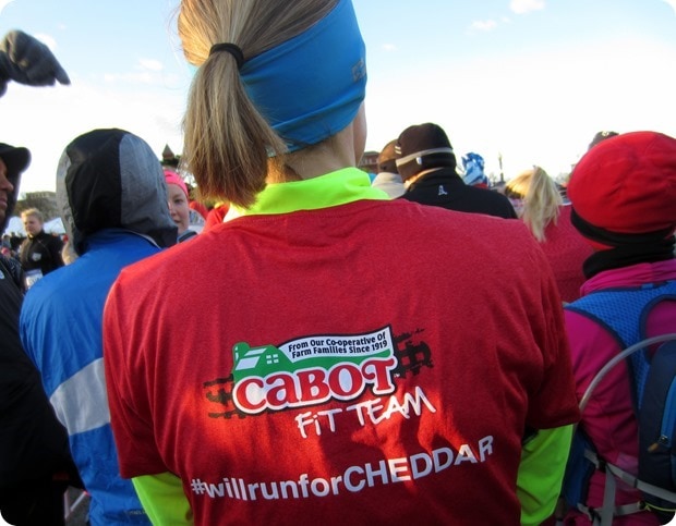will run for cheddar