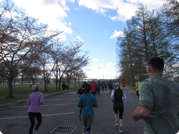 cherry blossom 10 miler hains point