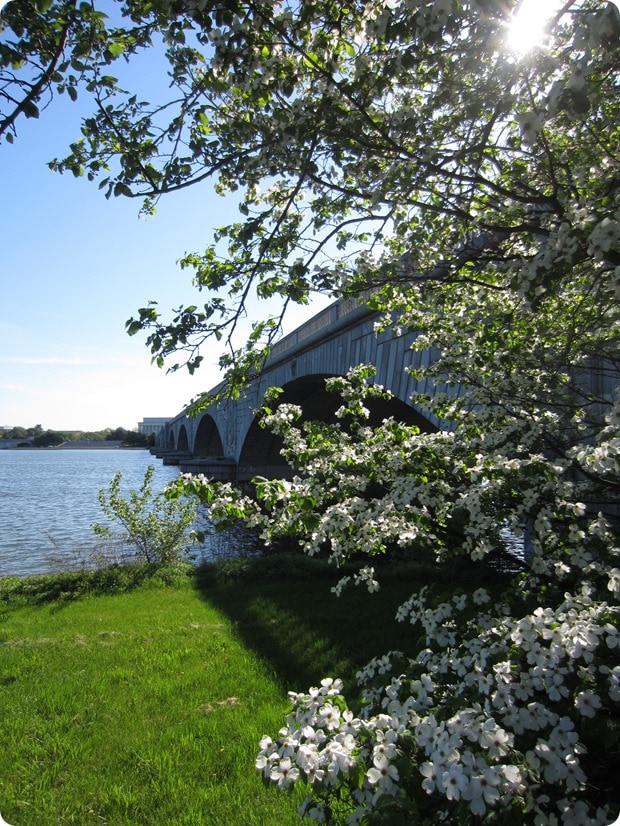 spring running mount vernon trail