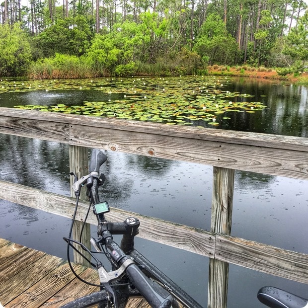 biking watercolor florida