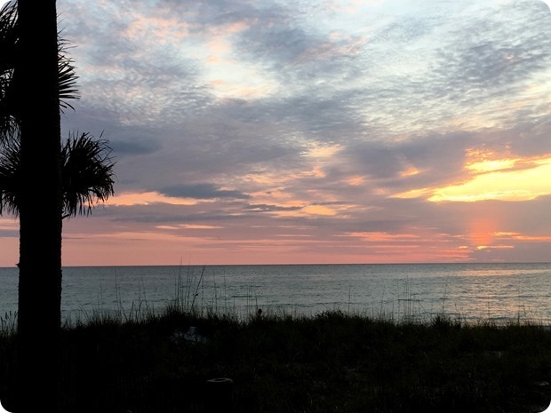 ritz sarasota beach club sunset