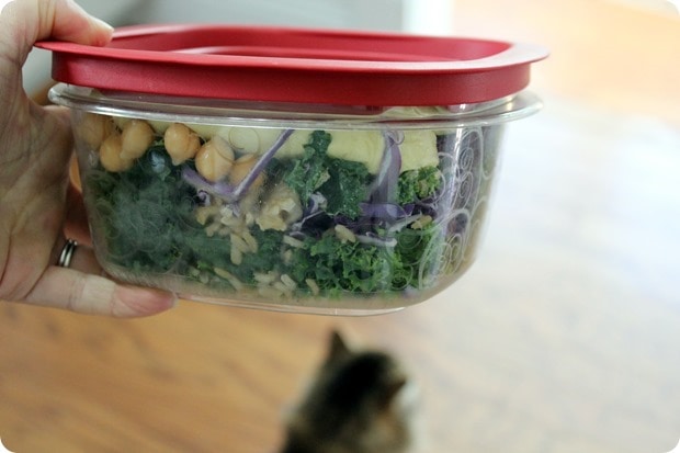 packed lunch kale salad