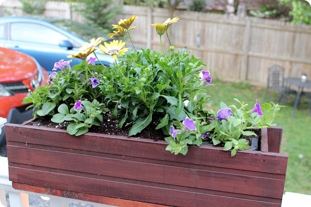 deck flower boxes