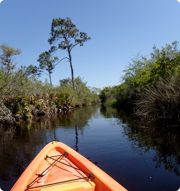 kayaking big lagoon state park
