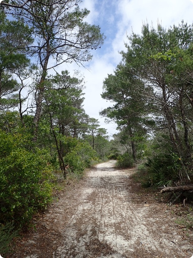 topsail hill preserve state park running