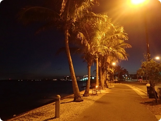 sarasota running