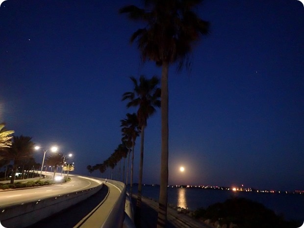 sarasota sunrise run