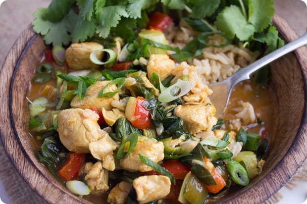 easy coconut curry 6