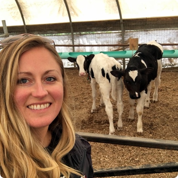 cabot dairy farm