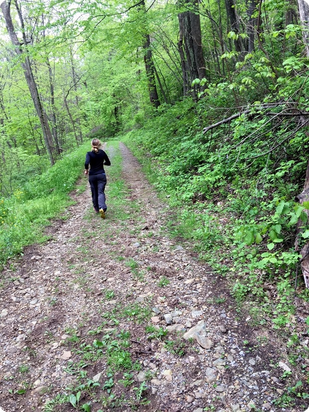 little devil stairs trail run