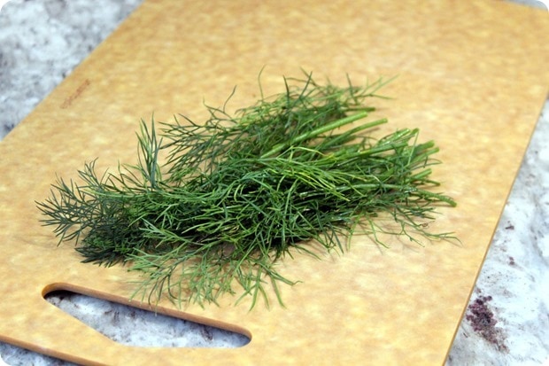 dill is really good with salmon