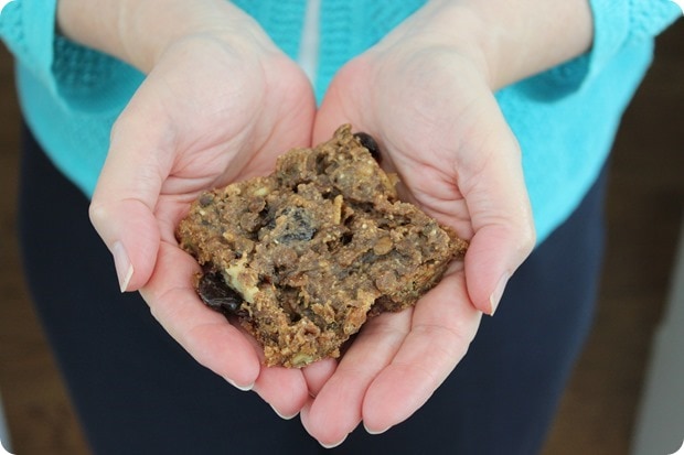 red lentil granola bar