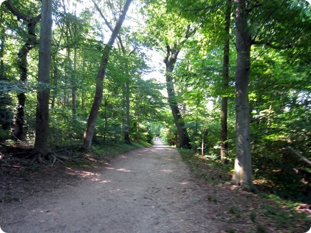 roosevelt island trails running