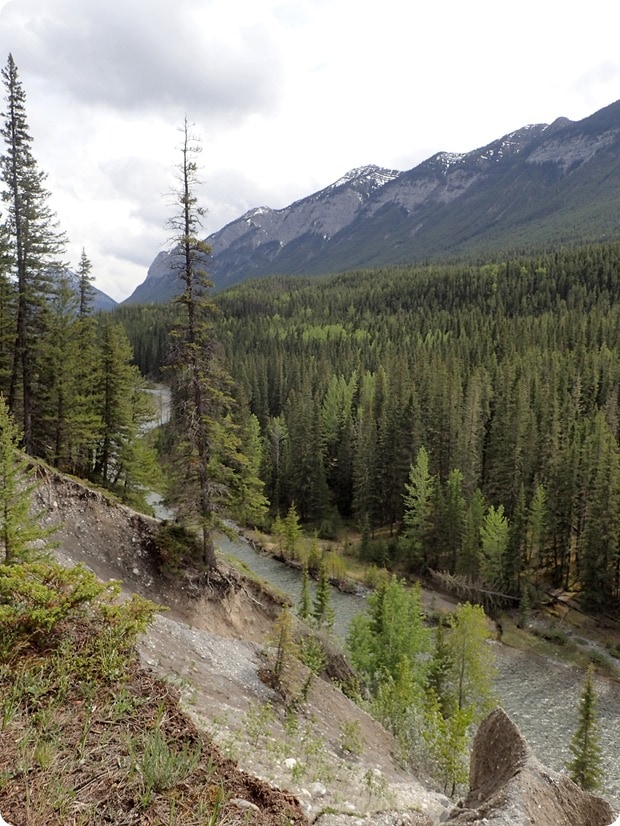 banff town hiking