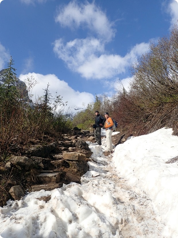 hiking the plain of six glaciers
