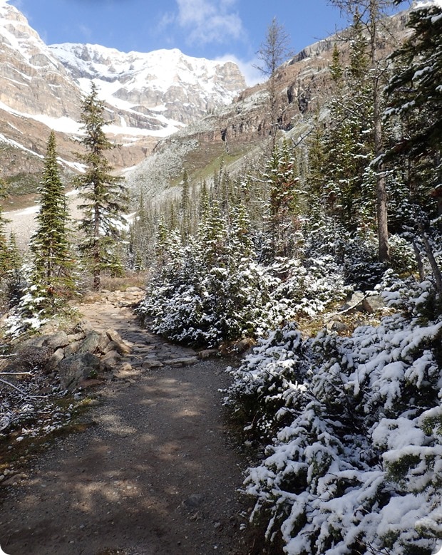 plain of six glaciers hike in may